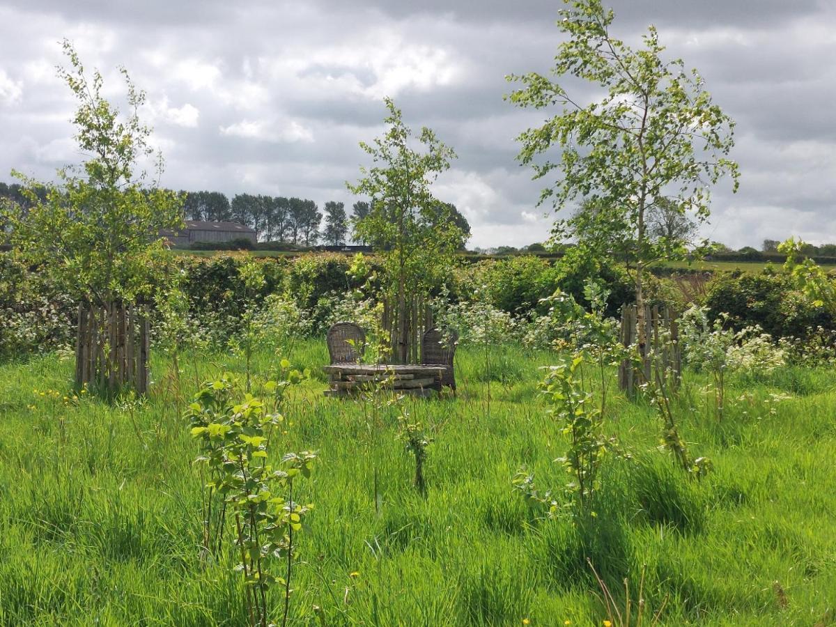 Doris Villa Wedmore Buitenkant foto