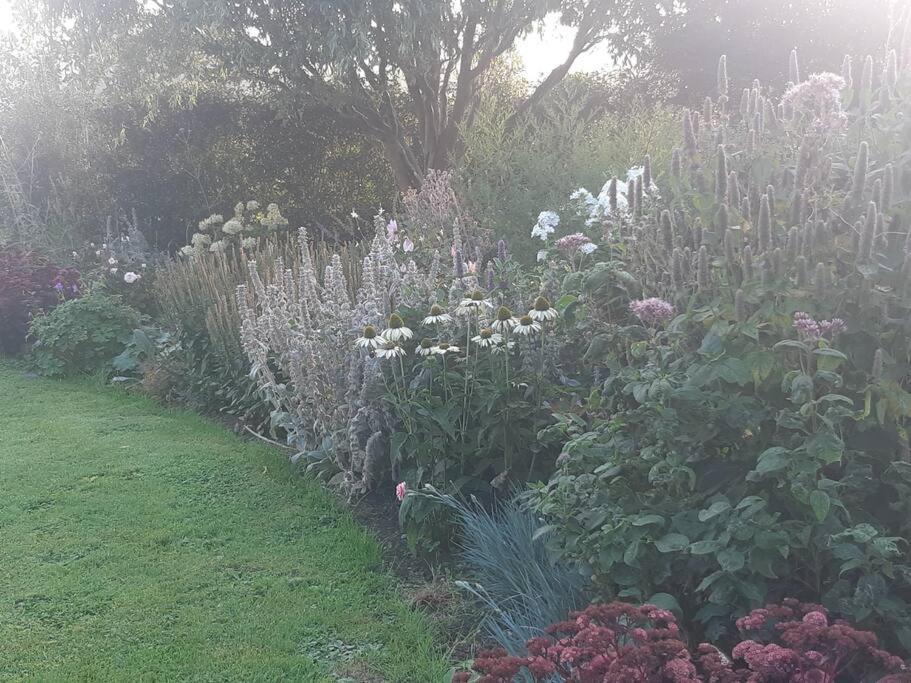 Doris Villa Wedmore Buitenkant foto