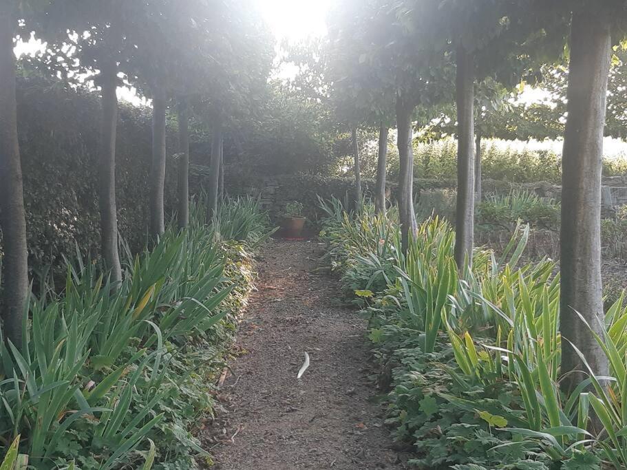 Doris Villa Wedmore Buitenkant foto