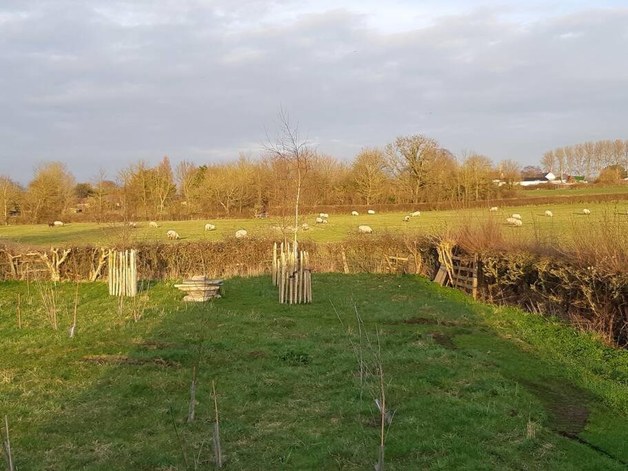 Doris Villa Wedmore Buitenkant foto